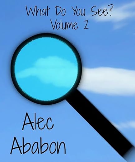 What Do You See? Volume 2 by Alec Ababon